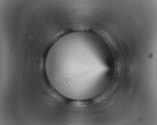 X0000097850326200803281255