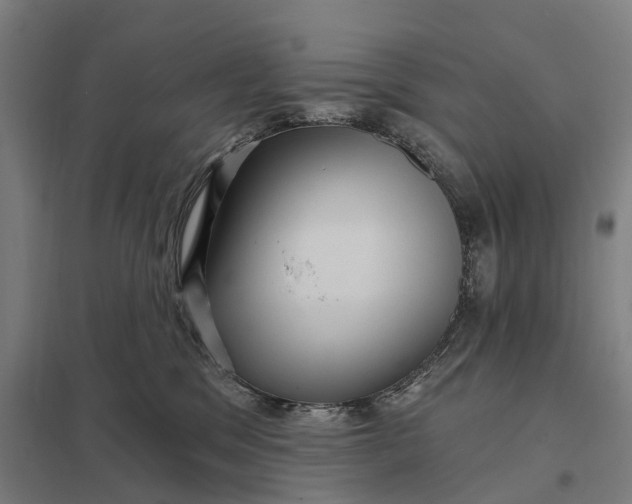 X0000097850329200803281255