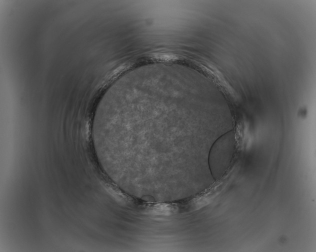 X0000097850330200803281255