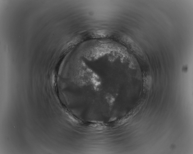 X0000097850331200803281255