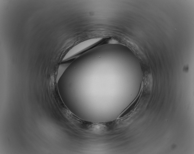 X0000097850333200803281255