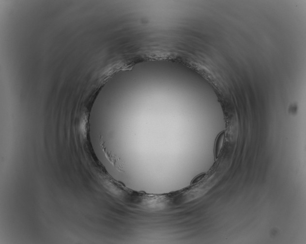 X0000097850334200803281254