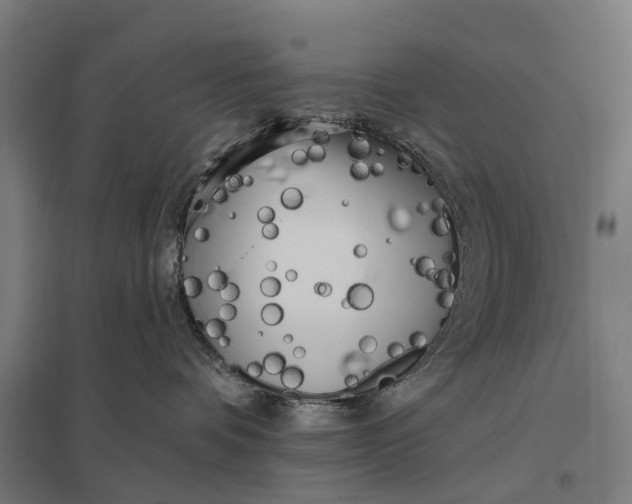 X0000097850336200803281254