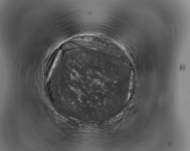 X0000097850337200803281254