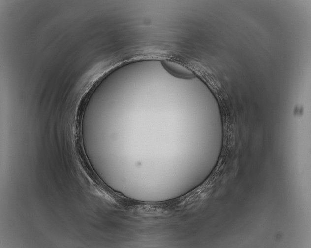 X0000097850338200803281254