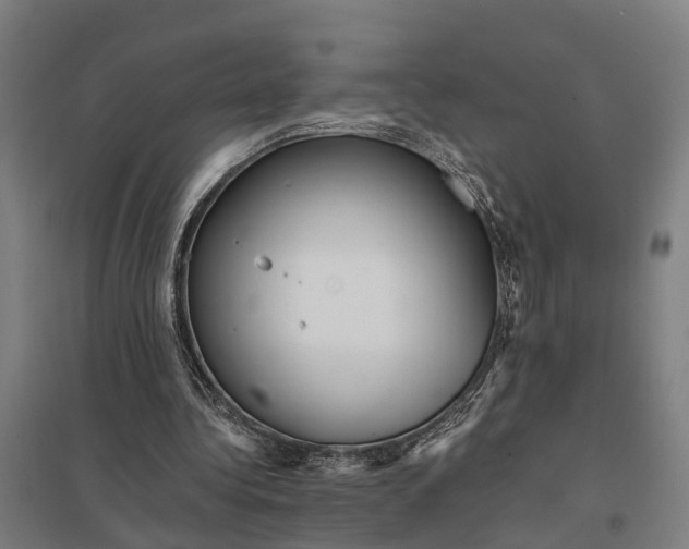 X0000097850340200803281254