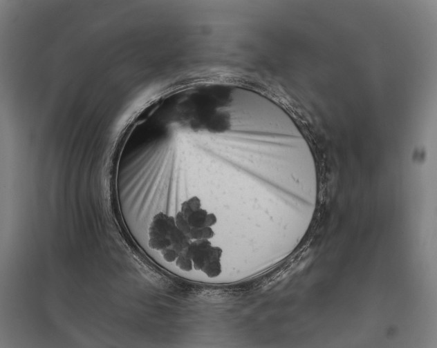 X0000097850341200803281254