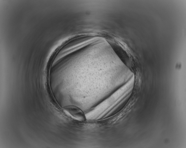 X0000097850342200803281254