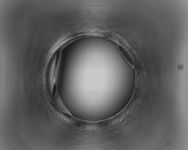 X0000097850344200803281254