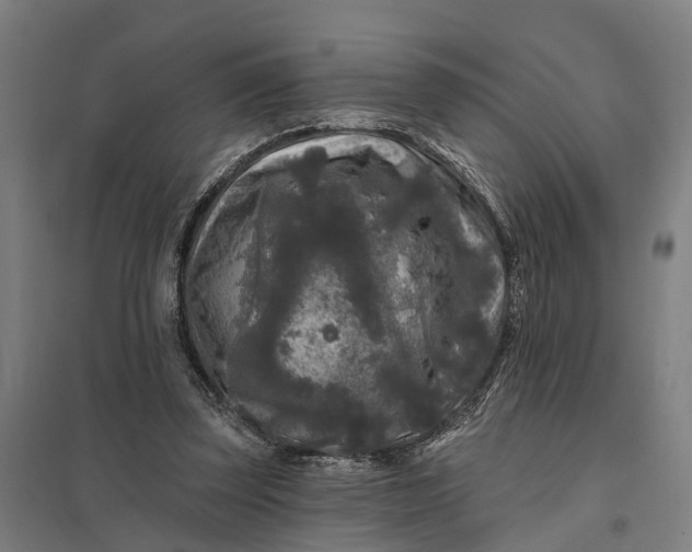 X0000097850347200803281254