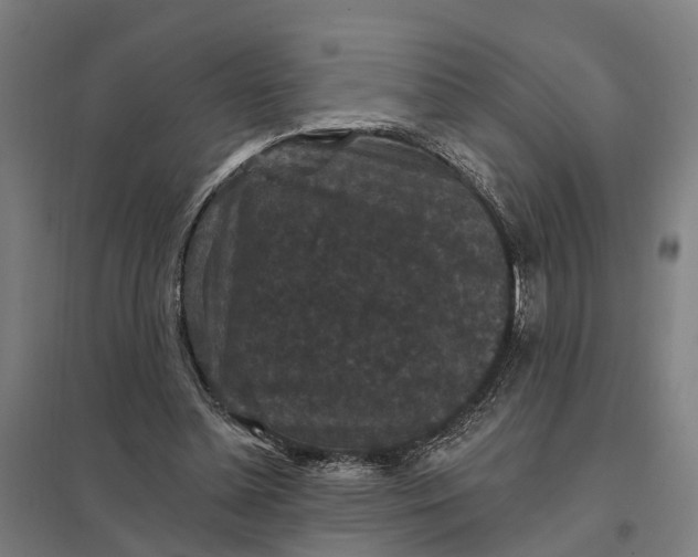 X0000097850348200803281254