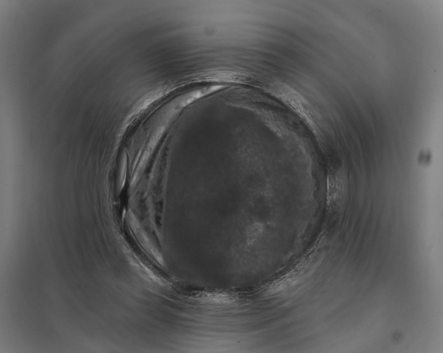 X0000097850349200803281254