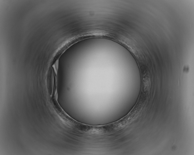 X0000097850350200803281254