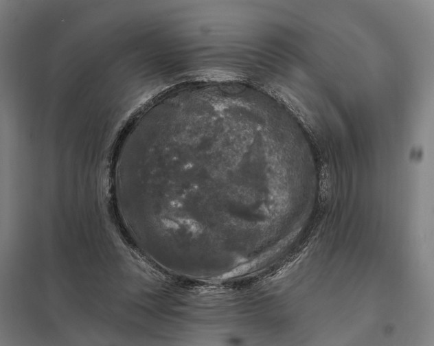 X0000097850351200803281254