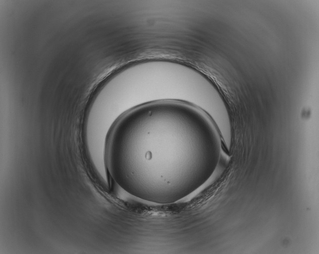 X0000097850352200803281254