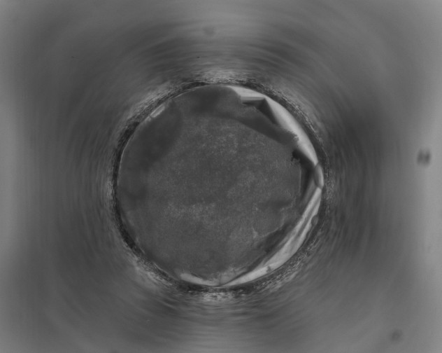 X0000097850353200803281254