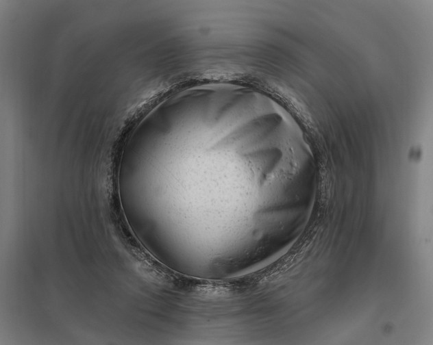 X0000097850354200803281254