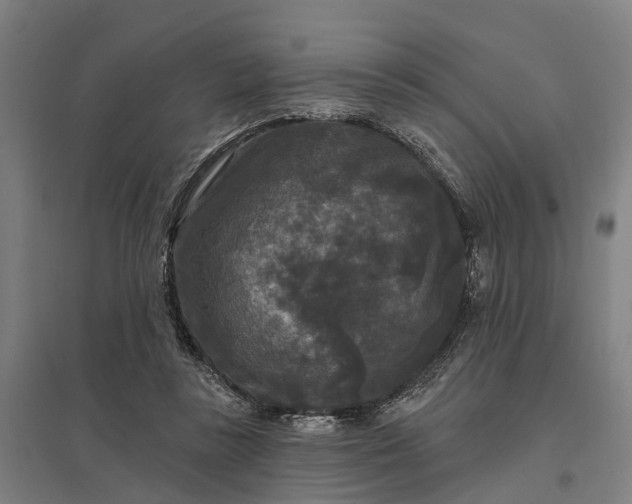 X0000097850355200803281254