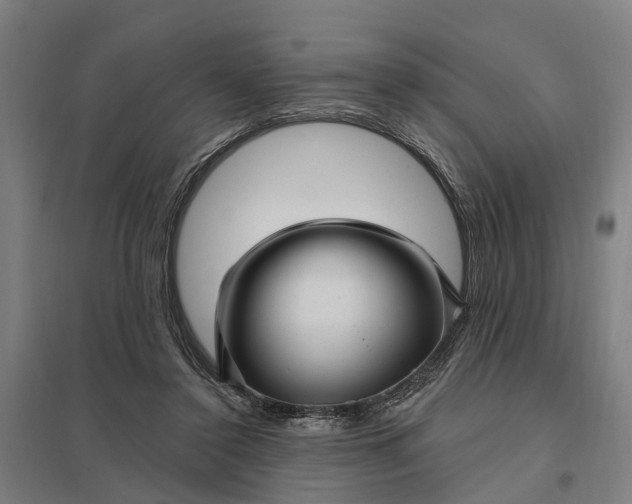 X0000097850356200803281254