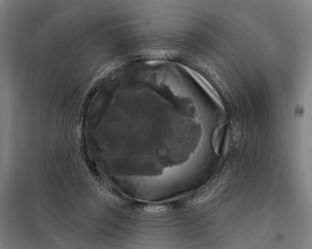 X0000097850357200803281254