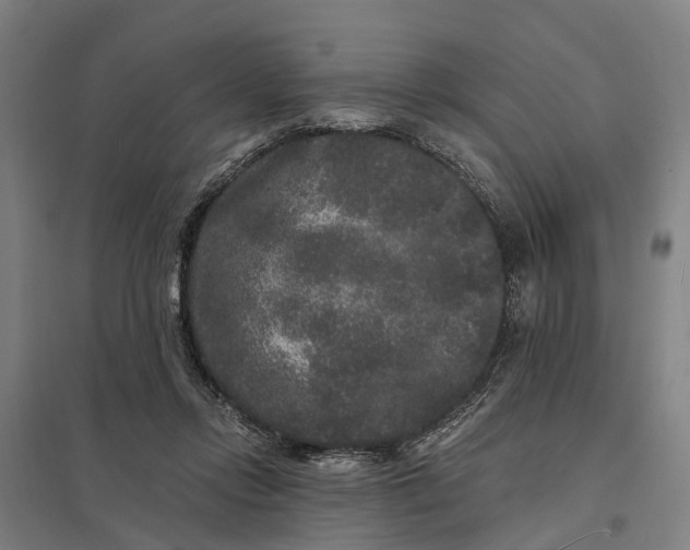 X0000097850358200803281254