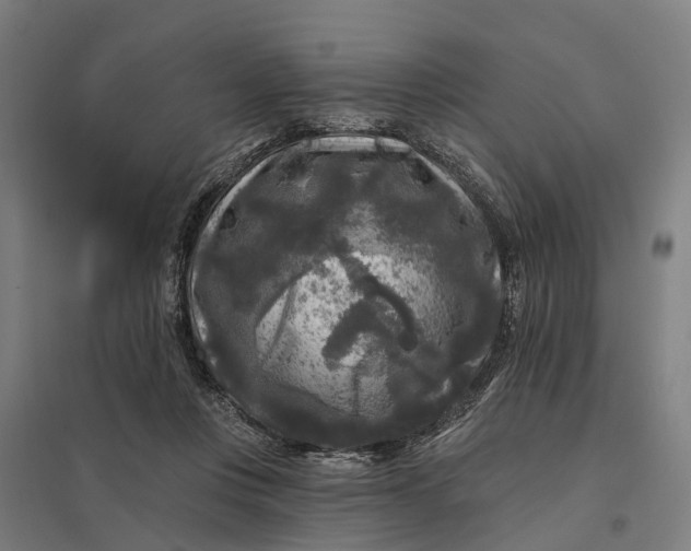 X0000097850359200803281254