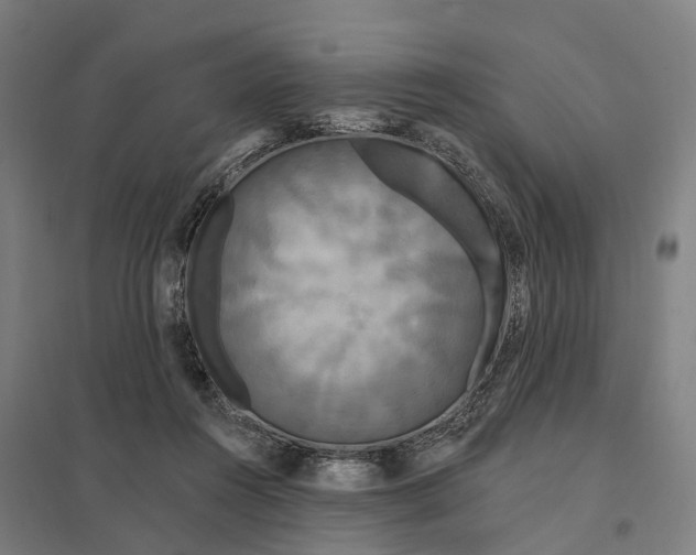 X0000097850360200803281254