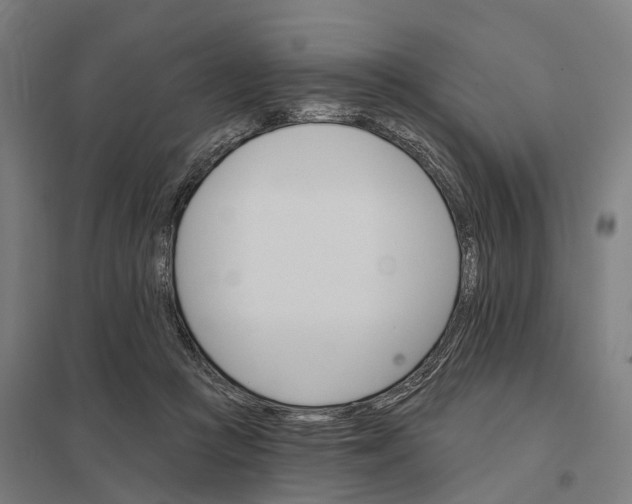 X0000097850361200803281254