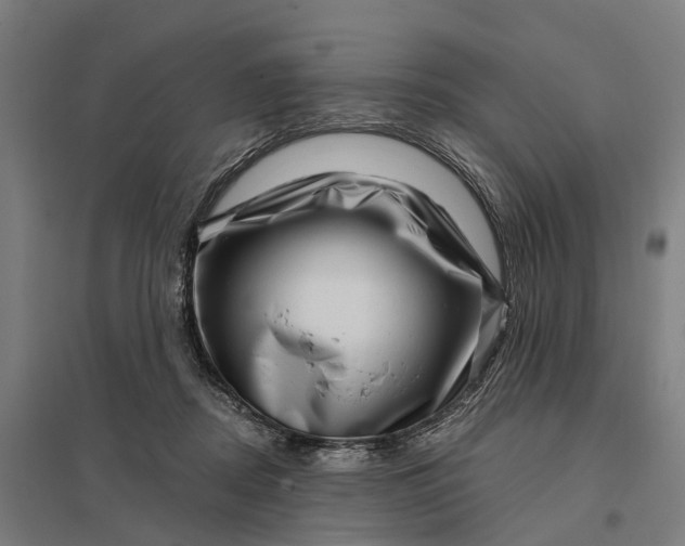 X0000097850362200803281254