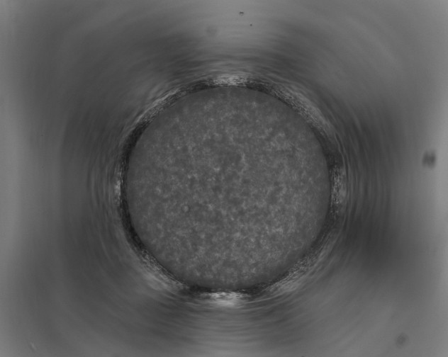 X0000097850363200803281254