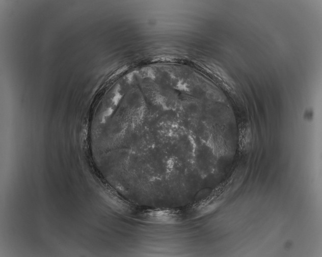 X0000097850365200803281254