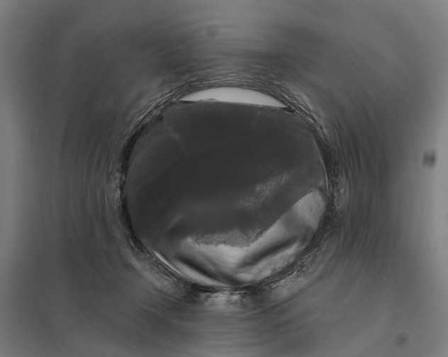 X0000097850366200803281254