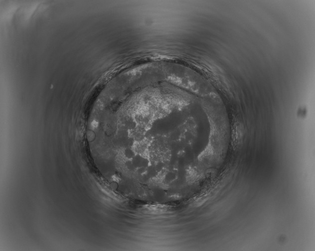 X0000097850367200803281254