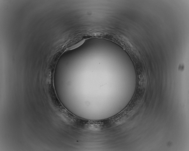 X0000097850368200803281254