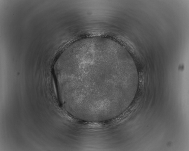 X0000097850369200803281254