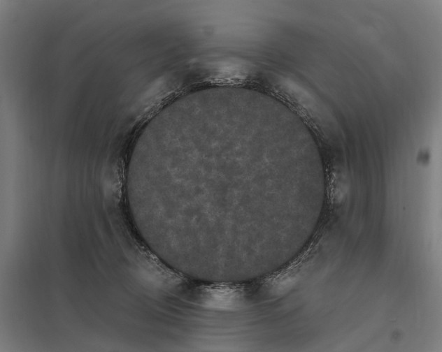 X0000097850370200803281254