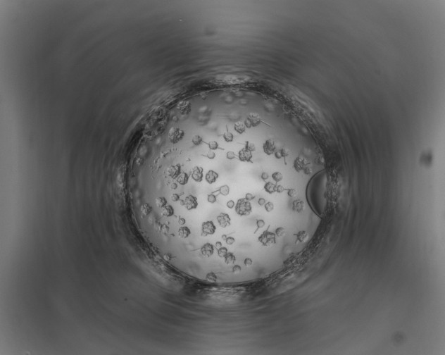 X0000097850373200803281254