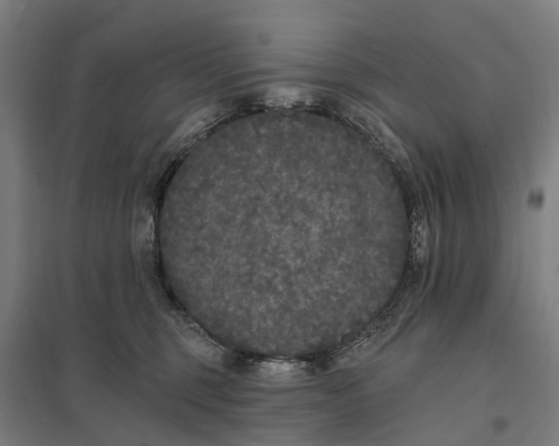 X0000097850375200803281254