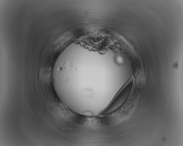 X0000097850376200803281254