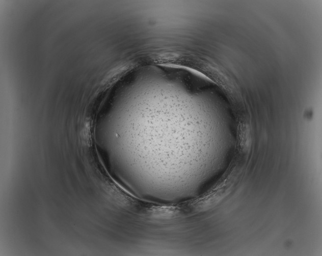 X0000097850378200803281254