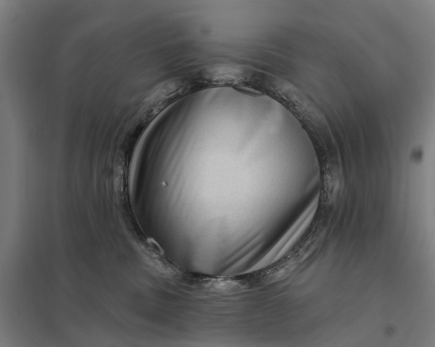 X0000097850379200803281254