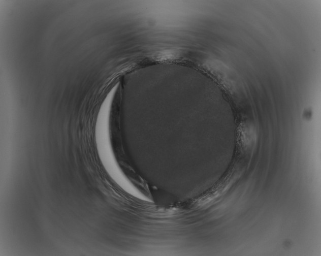 X0000097850380200803281254