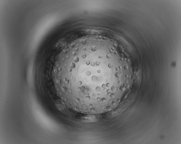 X0000097850381200803281254