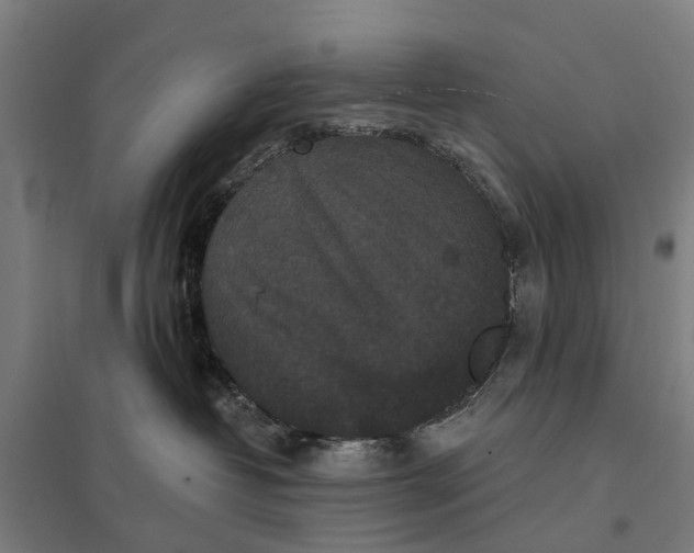 X0000097850382200803281254