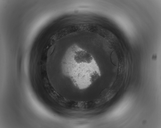 X0000097850383200803281254