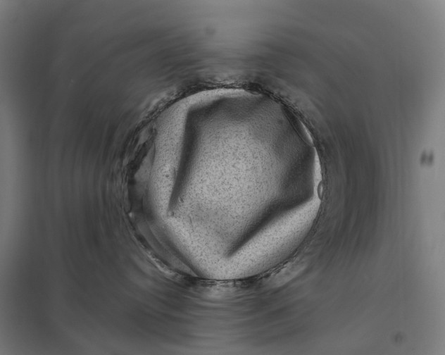 X0000097850384200803281254