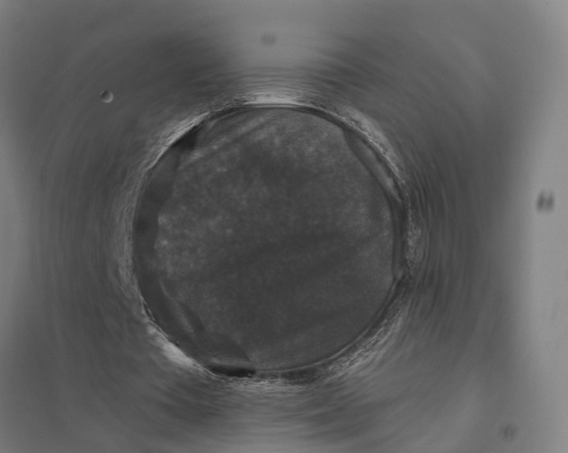 X0000097850385200803281254