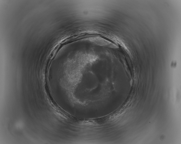 X0000097850386200803281254