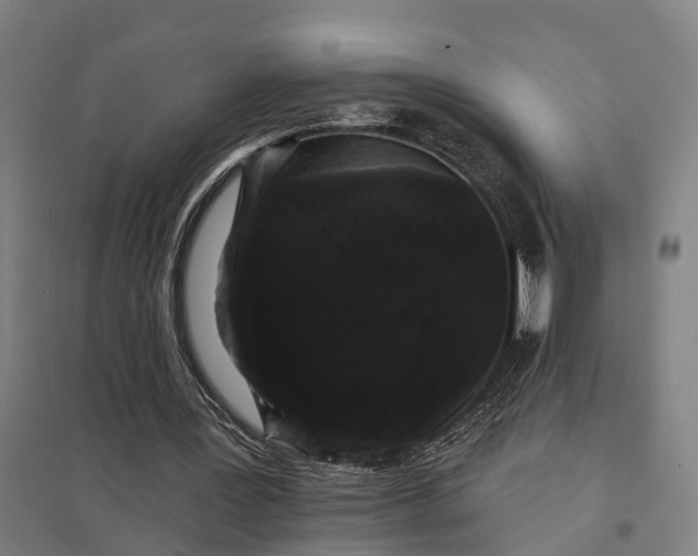 X0000097850387200803281254