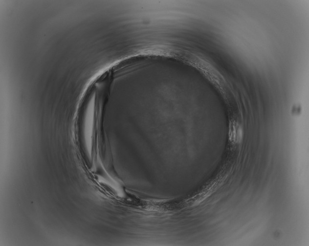 X0000097850388200803281254